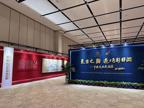 当东方之韵遇上色彩非洲 一场别开生面的文化交流盛宴